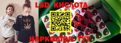 индика Славгород
