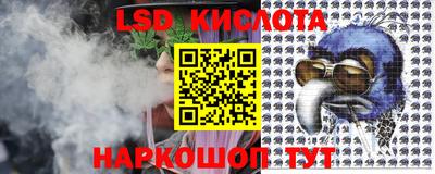 индика Славгород