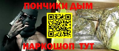 индика Славгород