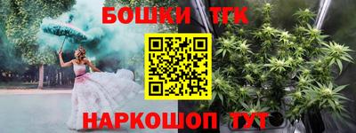 индика Славгород