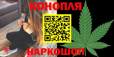 индика Славгород
