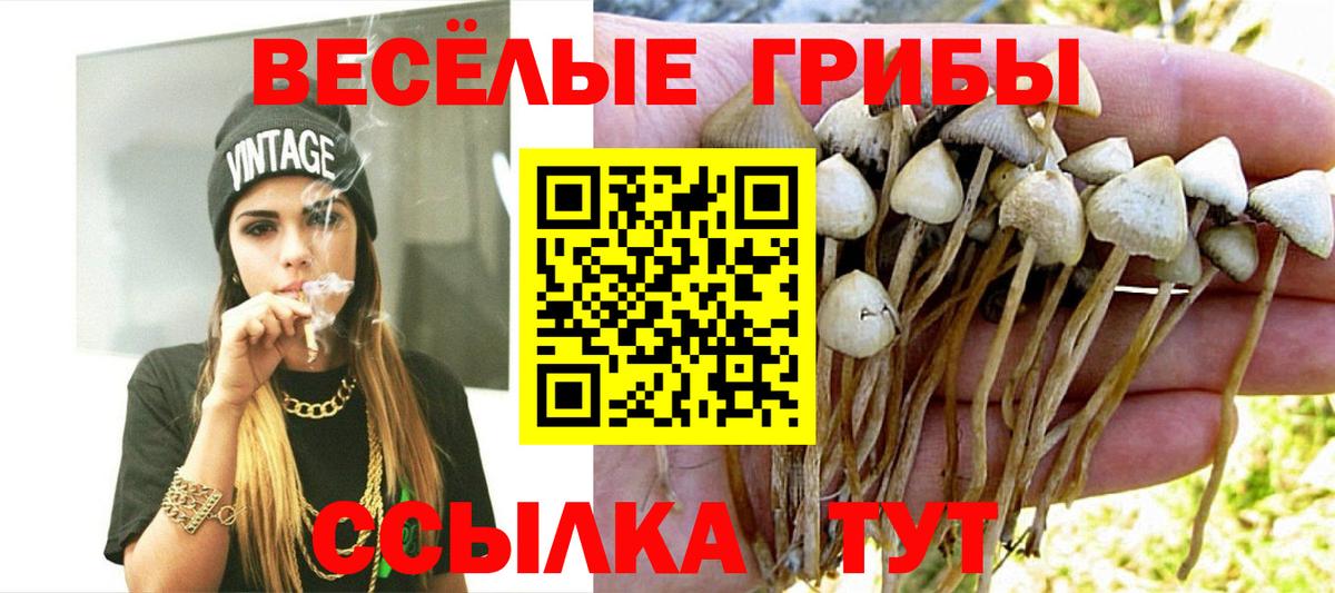 Галлюциногенные грибы GOLDEN TEACHER Похвистнево